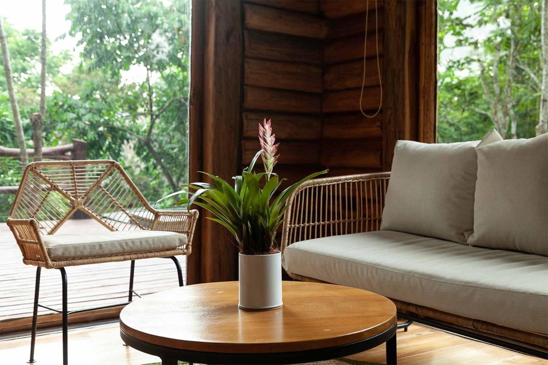 Hotel Boutique Maitta En Doradal Antioquia エクステリア 写真